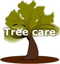 Tree Service Nashua | Tree Care