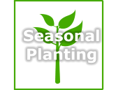 Seasonal Planting