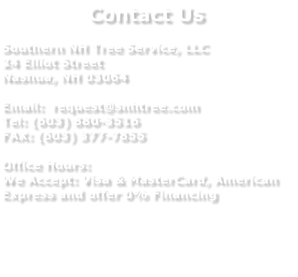 Tree Services in Southern NH, ME, & MA