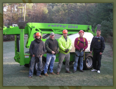 Tree Service Nashua | Nifty Lift