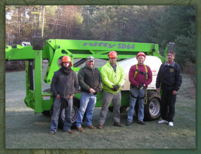 Tree Service Nashua | Nifty Lift